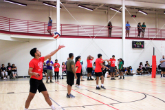 batch_IMG_6078-scaled