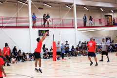 batch_IMG_6086-scaled