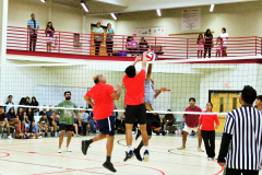 batch_IMG_6106-scaled