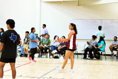 batch_IMG_6212-scaled