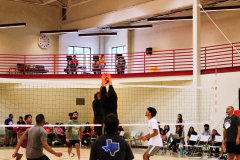 batch_IMG_6226-scaled