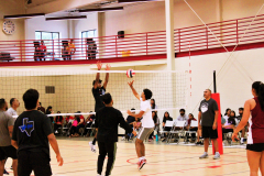 batch_IMG_6234-scaled