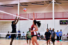 batch_IMG_6276-scaled